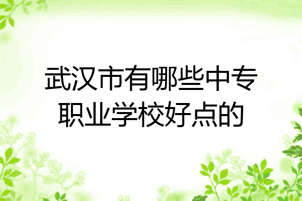 武汉市有哪些中专职业学校好点的