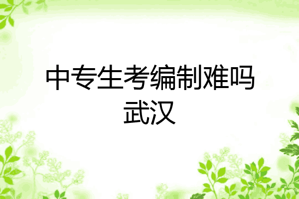中专生考编制难吗武汉