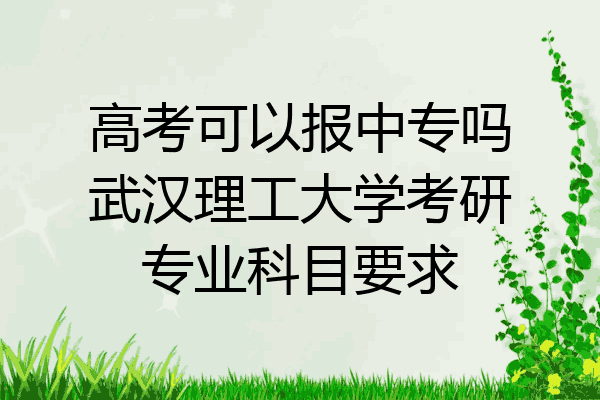 高考可以报中专吗武汉理工大学考研专业科目要求