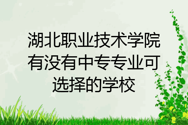 湖北职业技术学院有没有中专专业可选择的学校
