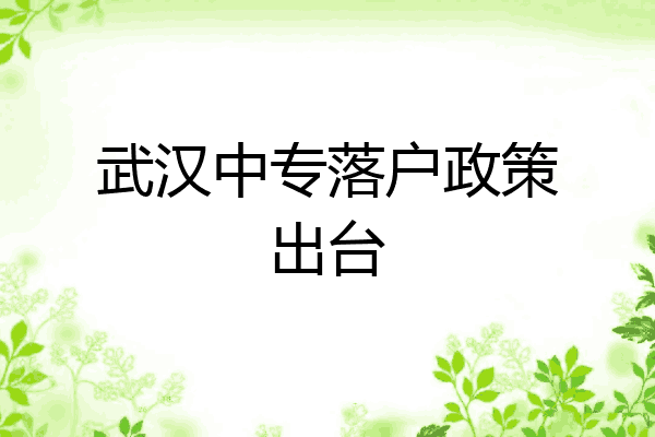 武汉中专落户政策出台