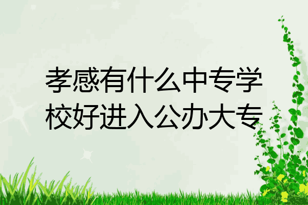 孝感有什么中专学校好进入公办大专