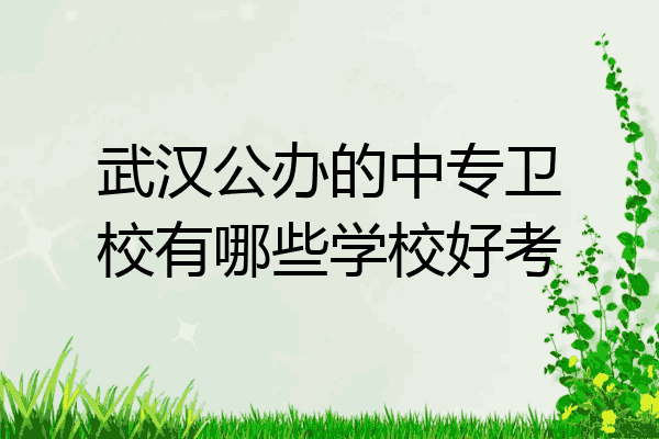 武汉公办的中专卫校有哪些学校好考