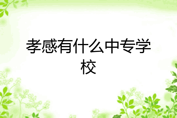 孝感有什么中专学校