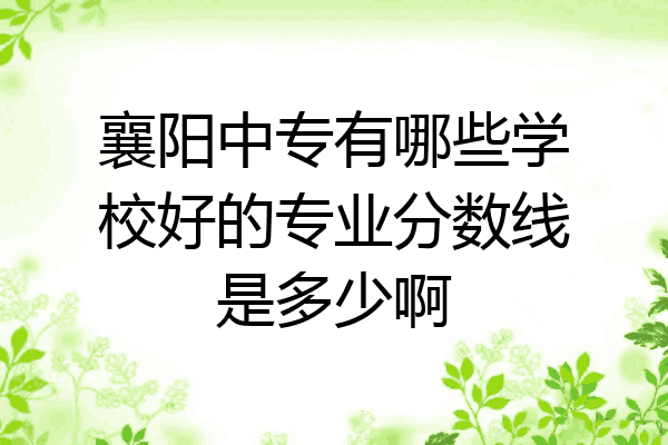 襄阳中专有哪些学校好的专业分数线是多少啊