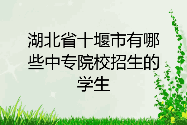湖北省十堰市有哪些中专院校招生的学生