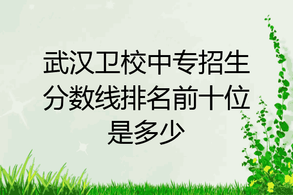 武汉卫校中专招生分数线排名前十位是多少