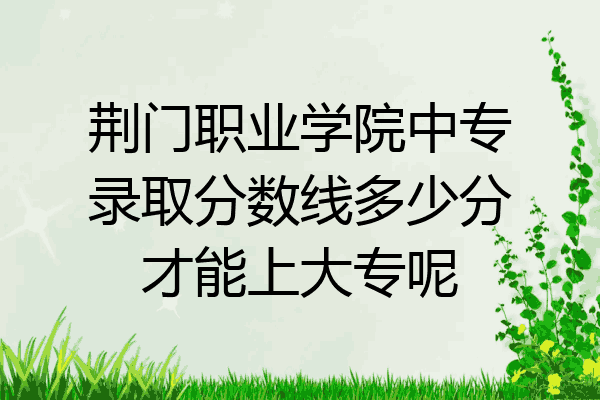 荆门职业学院中专录取分数线多少分才能上大专呢