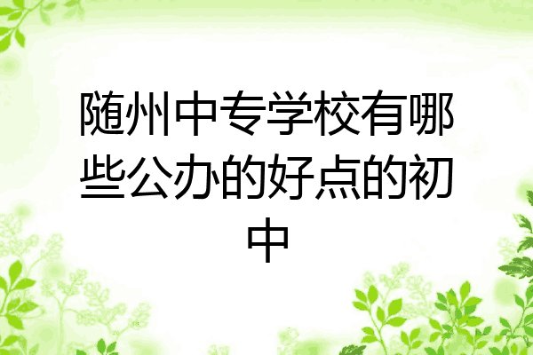 随州中专学校有哪些公办的好点的初中