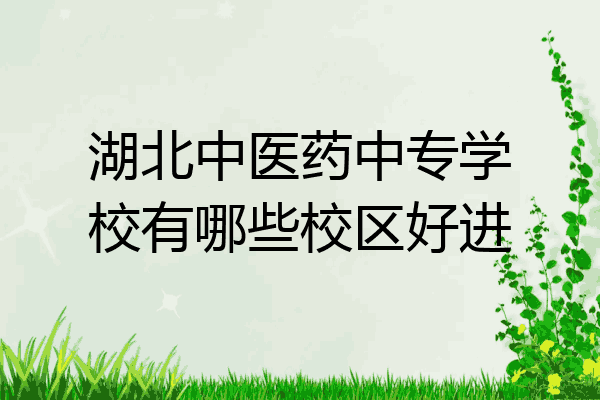 湖北中医药中专学校有哪些校区好进
