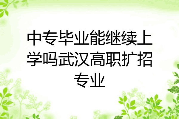 中专毕业能继续上学吗武汉高职扩招专业