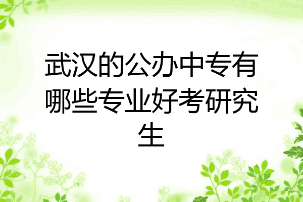 武汉的公办中专有哪些专业好考研究生