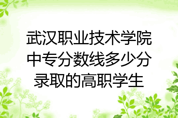 武汉职业技术学院中专分数线多少分录取的高职学生