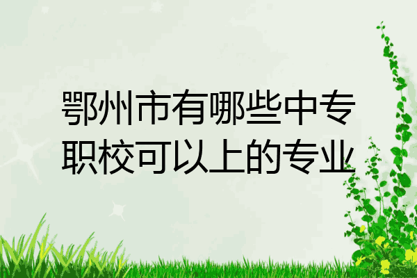 鄂州市有哪些中专职校可以上的专业