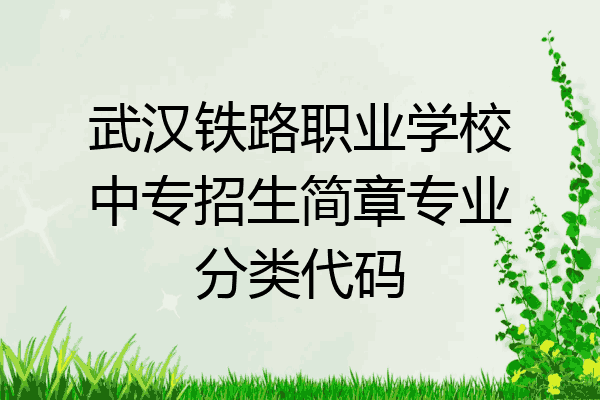 武汉铁路职业学校中专招生简章专业分类代码