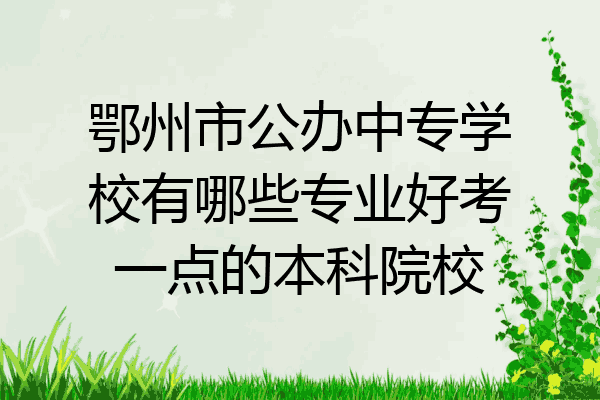 鄂州市公办中专学校有哪些专业好考一点的本科院校