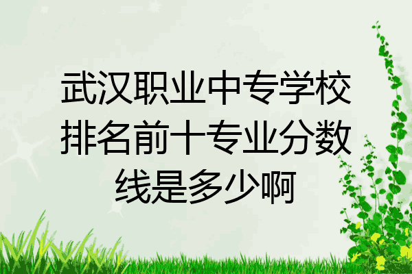 武汉职业中专学校排名前十专业分数线是多少啊