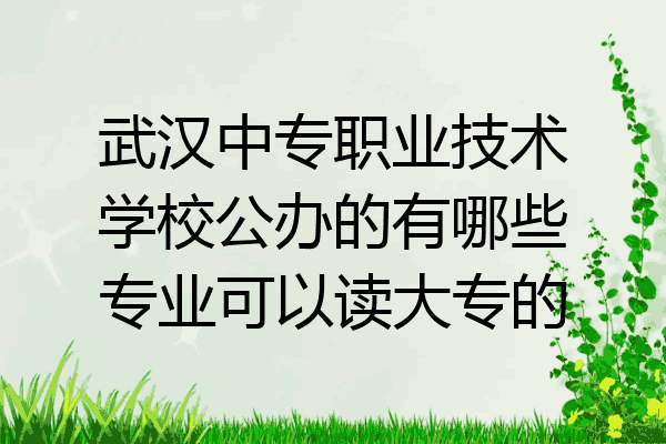 武汉中专职业技术学校公办的有哪些专业可以读大专的