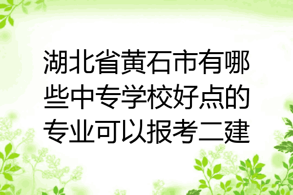 湖北省黄石市有哪些中专学校好点的专业可以报考二建