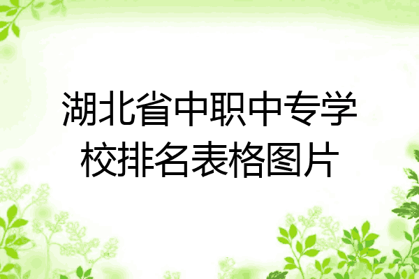 湖北省中职中专学校排名表格图片