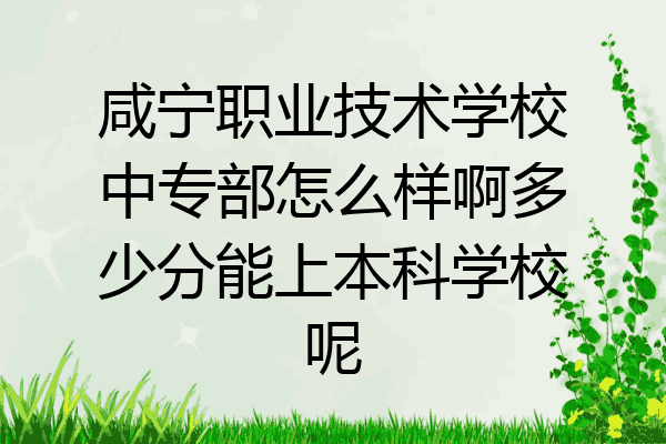 咸宁职业技术学校中专部怎么样啊多少分能上本科学校呢