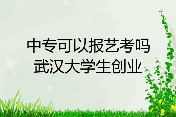 中专可以报艺考吗武汉大学生创业