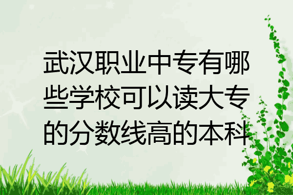 武汉职业中专有哪些学校可以读大专的分数线高的本科