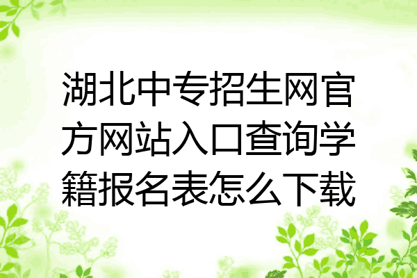 湖北中专招生网官方网站入口查询学籍报名表怎么下载