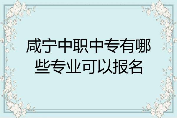 咸宁中职中专有哪些专业可以报名