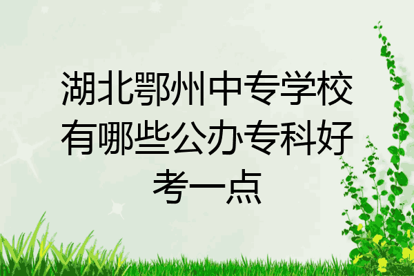 湖北鄂州中专学校有哪些公办专科好考一点