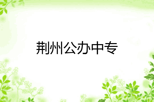 荆州公办中专