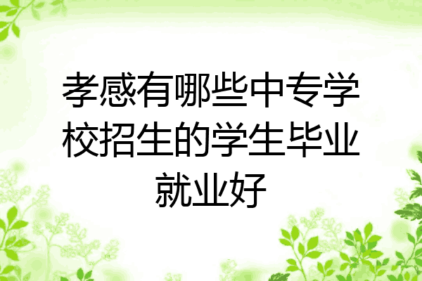孝感有哪些中专学校招生的学生毕业就业好