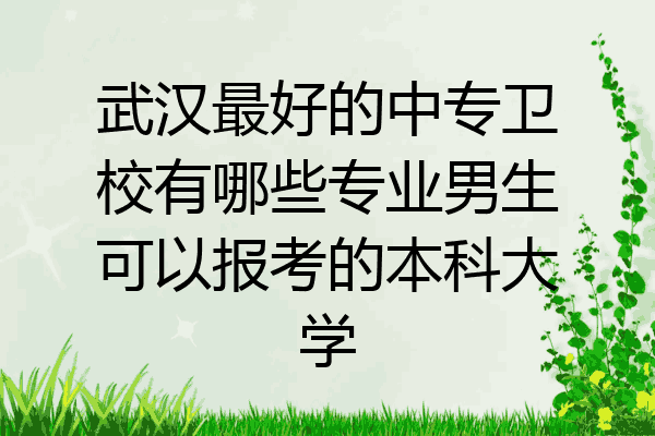 武汉最好的中专卫校有哪些专业男生可以报考的本科大学