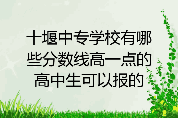 十堰中专学校有哪些分数线高一点的高中生可以报的