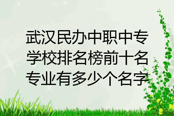 武汉民办中职中专学校排名榜前十名专业有多少个名字