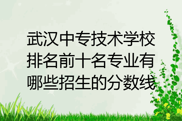 武汉中专技术学校排名前十名专业有哪些招生的分数线