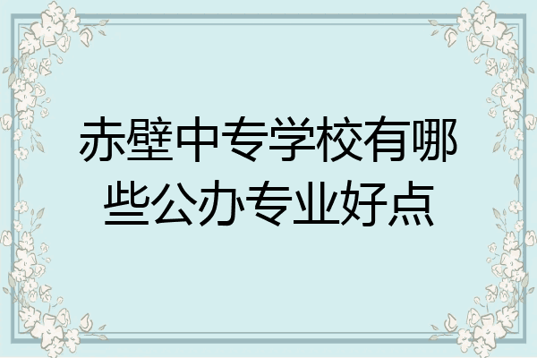 赤壁中专学校有哪些公办专业好点