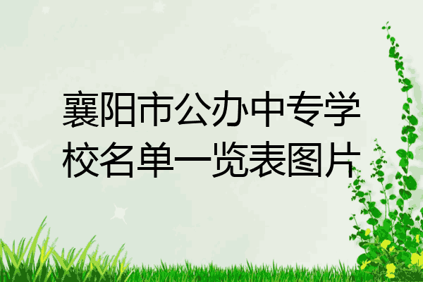 襄阳市公办中专学校名单一览表图片