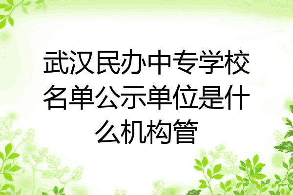 武汉民办中专学校名单公示单位是什么机构管
