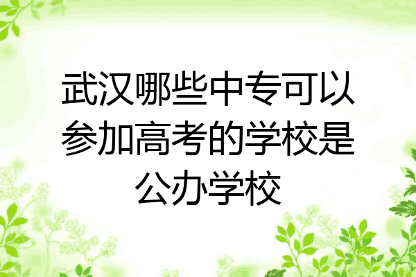 武汉哪些中专可以参加高考的学校是公办学校