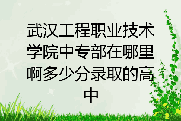 武汉工程职业技术学院中专部在哪里啊多少分录取的高中