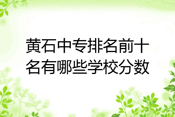 黄石中专排名前十名有哪些学校分数