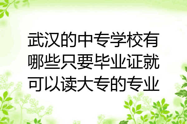 武汉的中专学校有哪些只要毕业证就可以读大专的专业