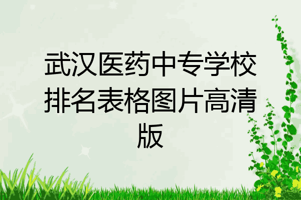 武汉医药中专学校排名表格图片高清版