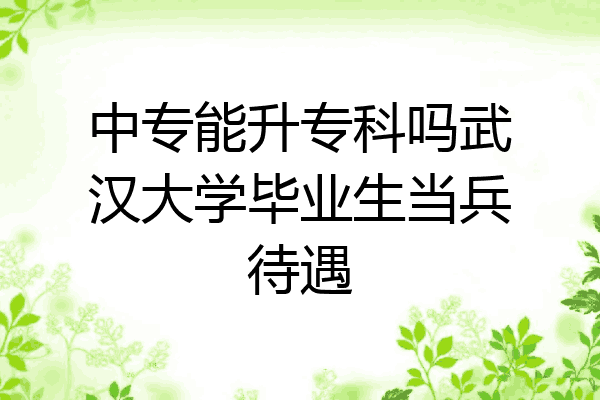 中专能升专科吗武汉大学毕业生当兵待遇