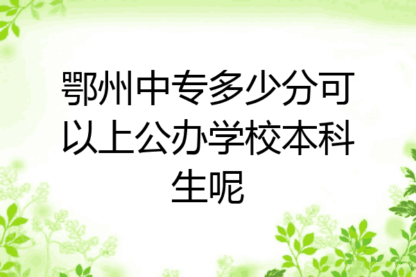 鄂州中专多少分可以上公办学校本科生呢