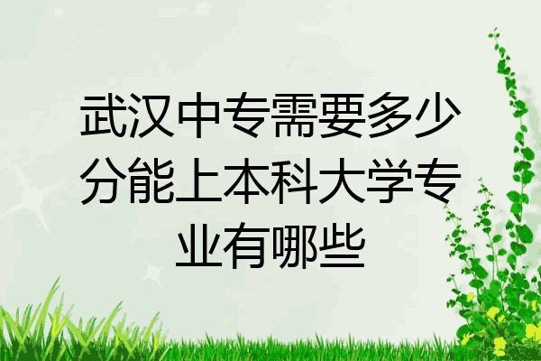 武汉中专需要多少分能上本科大学专业有哪些