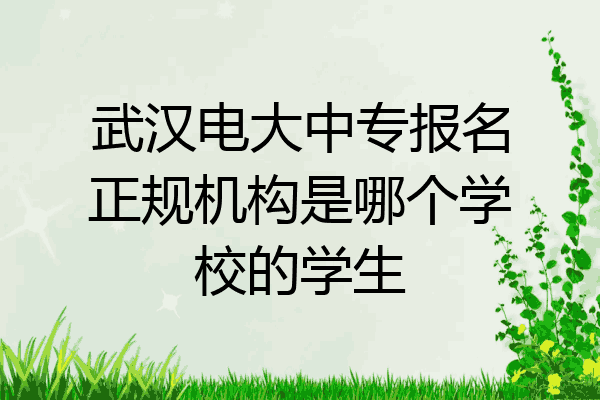 武汉电大中专报名正规机构是哪个学校的学生