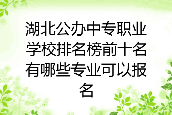 湖北公办中专职业学校排名榜前十名有哪些专业可以报名