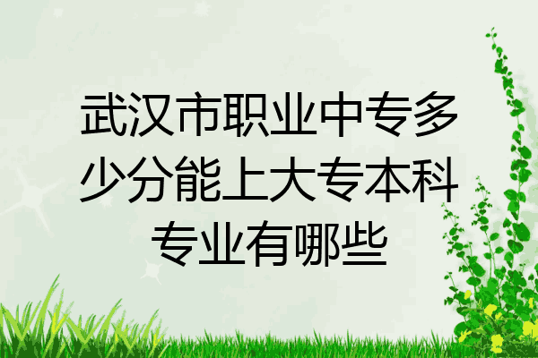 武汉市职业中专多少分能上大专本科专业有哪些